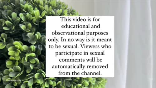 26151a0ab90f1d4b1e8043f5df6604a48f49671ed00d36dc3b1d696ac708bfba thumbnail