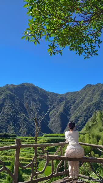 0bb123b04ad1fe7b318b44e07a489d7afbbd52eb5cfbde317dee0f512577b9d8 thumbnail