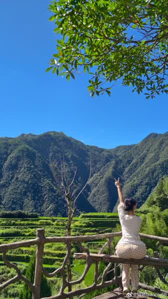 683dffbb02c4d8cbcceede33aa5e63c34a69684a3bd19a96024da56a798ca93c thumbnail