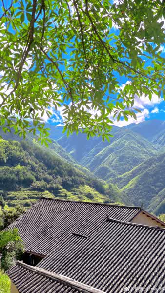 8be90894484725d755245bce46e459b4fc7ac81b9f9c0d690b30f5ae1792d4a9 thumbnail