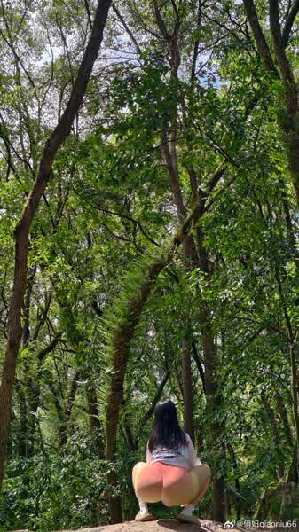 66595d0fcf9d4f277d42807f4a7f00765fc0d78d821d74dcf9cd53fa0d920e15 thumbnail