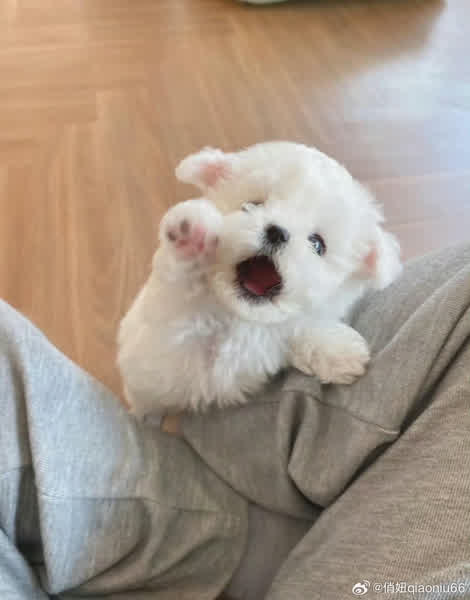 ef50caecb19ad3996adaf7bd9955692bbbd740dcbd466b25b5504b0a5306b8f1 thumbnail