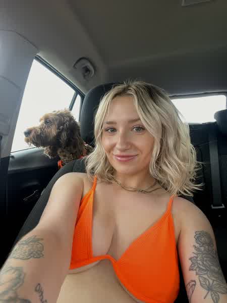 1419a41917185c9ea3077e076f384e70e5fd5e7584cb52fdbf49fb04f5e323d5 thumbnail