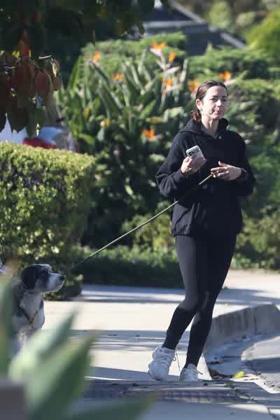 52ee1a5b86c36f75dcd849fe127527d2348f80f2f0f7195cb6f7617f16b8887b thumbnail