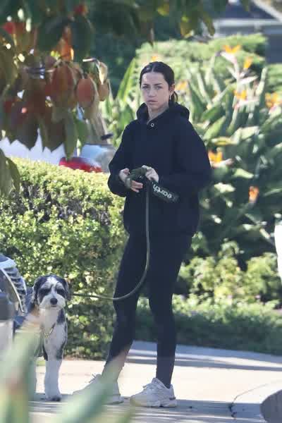 a2ac6555d6b5cab854915c549cb5973ff9e4921bc94c5a73eb8a82618d7f53f3 thumbnail