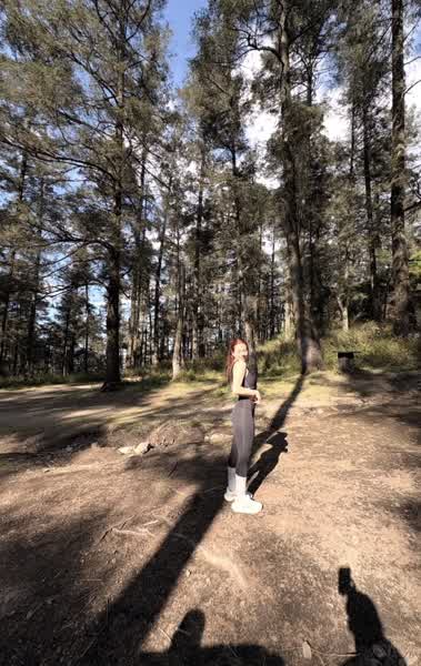 a81624a5fbc86e3552599799721c5434c39d42fabaa930ccf5d1b31e75c9668a thumbnail