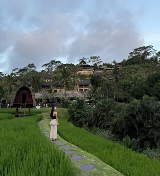 8730d2988ea5a678ffaaac52106a5a06e678dc08226dc573940d3f44e5db6ef2 thumbnail