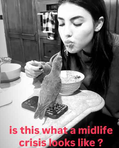 3add21cac361fde88947e0760a9757032e129669213866fa5b3344434211dcfe thumbnail