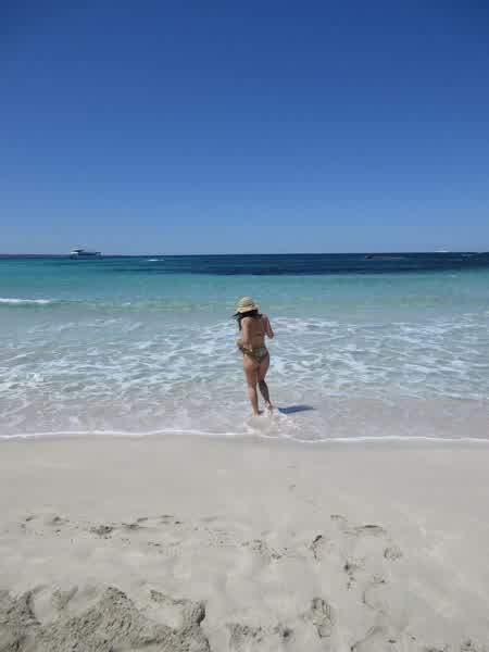 c0c87146d5c08af9338b88c6199e42f99ac4a9e0f4847678a315cec006e24ee7 thumbnail