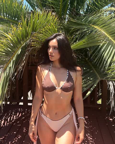 d13a6b54a2004ad73d78ffcc8be7edca840a2a5a640310424e91d1b4208f2599 thumbnail