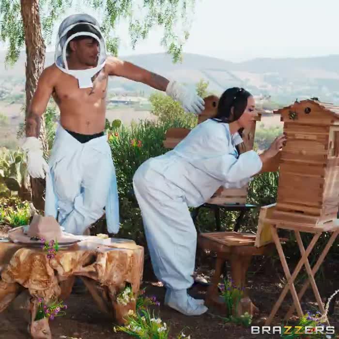 b54bbb9c53fd67862d725c409a1cbc403c3bb20866dac5eb55877c40e3e93387 thumbnail