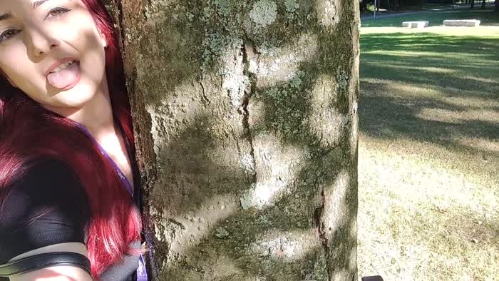 9570071fbbce003be2aefea1c57514bbd378d2d9cb77c9388559aae9383b888f thumbnail