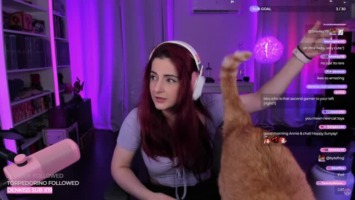 ed0c3c0a01f8ed5e2ebec064714fb223af305ff45efeaf1a74c4324779773023 thumbnail