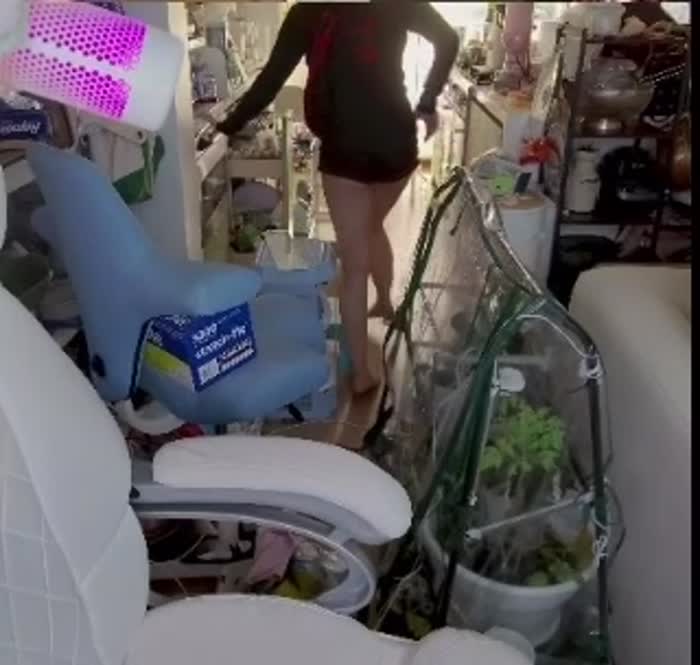 Angela Don Nude Twitch Videos - Ariasaki Porn Nudes