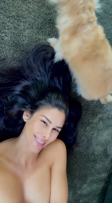 0038473968fc288187d88cd056b47888a1742ec0196b902d0108937c3c1413f8 thumbnail