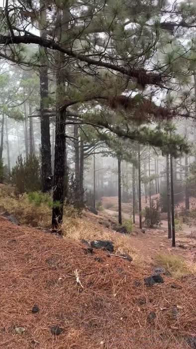 78816127ccfeb2979be80ae49c080ba6325a567b6be0590d778298bff1d24361 thumbnail