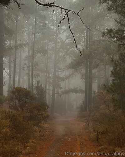 7a9ccc1ece916ce8cb3cddf790438a938ef8f97b998a7745b69b767617fc93b2 thumbnail