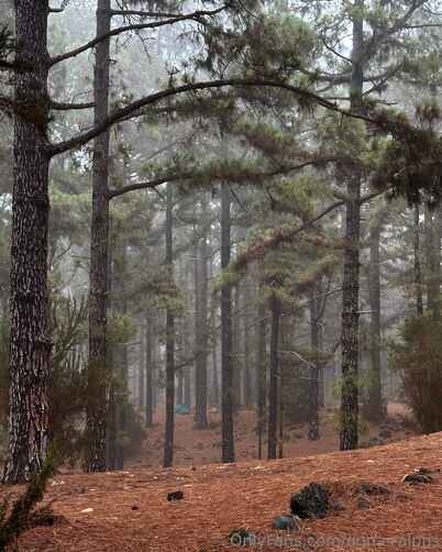 9d7e9c4255875716f4c5cbbee2e7f9ab2ec507ff51c186ae2872fe7888c31787 thumbnail