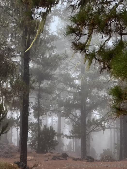 aa40dc9c3187a207809dd51b3362169ef9c7a6ddcd459aa4848d7ff1d0843167 thumbnail