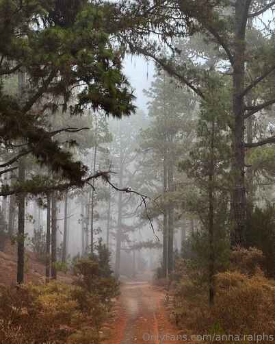 ee5356f5864487ed2471954d731a8b376453ee52b8b1d6b51ed7996df22d9033 thumbnail