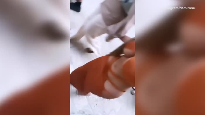 Demi Rose Mawbyf Big Tits - Demi Rose Mawbyf Porn Videos Uncensored