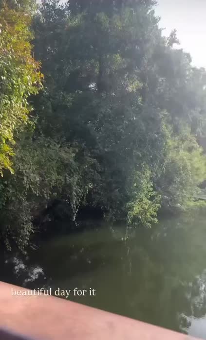 a05cadb0d8573143b4112982fbbd2ed0e45c37754249ed0e576fc52eebeef3be thumbnail