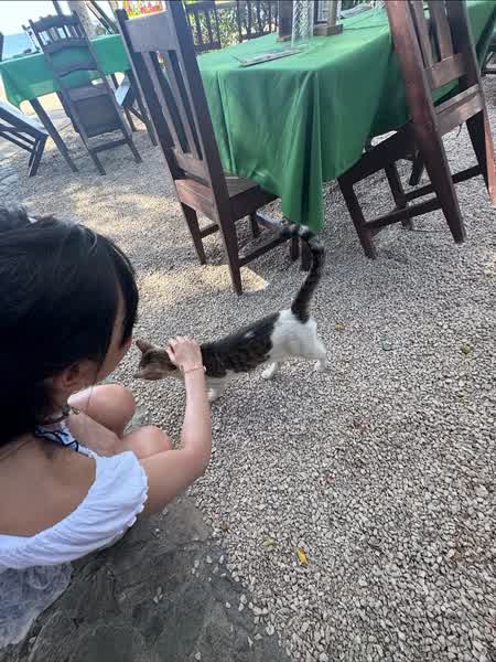 11e40685b03a120a1e427f10b23073df8e7bde893a06937a59b43b2195b2c734 thumbnail