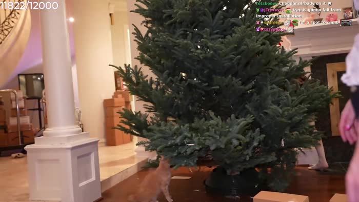 96580cb672abe09880e4b1677b1c31ddc00b2593590eef4e562b18e81b17026f thumbnail