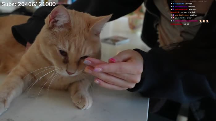 d47ac4659da7f7267383d7b244525cbd52e5501369a31366e3e517149d7478c7 thumbnail