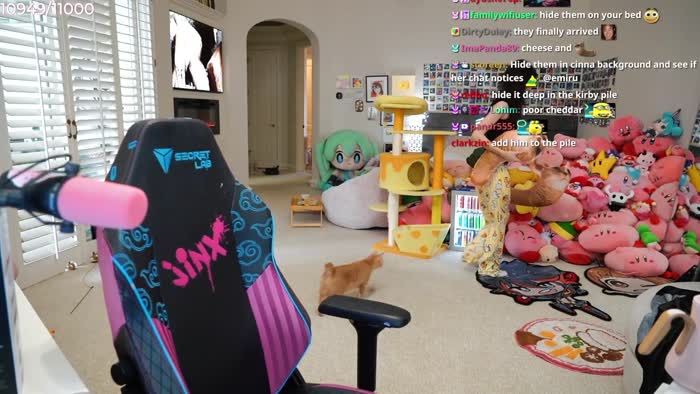 991054d444513f9983b2e2376a2957ea5cabe639da85bcb63f74424ecb0ea6bc thumbnail