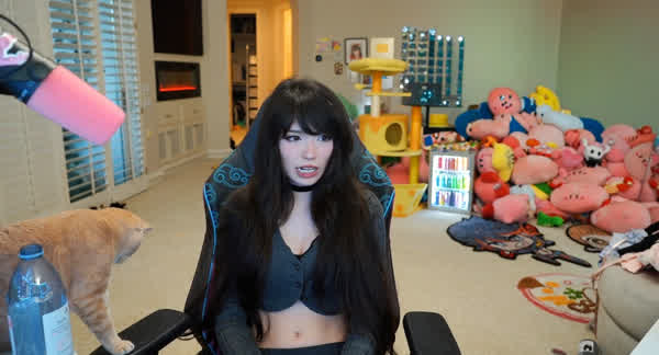 dd2d7a5c8e51dc871a32f84ff1ee9d9b66ef76604b90b8a00df0b398e32cad20 thumbnail