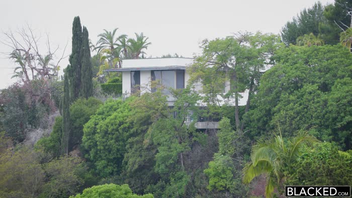 54361a3d1b1dc1dbc9e8c4e1726cafe581131c23b03ed21327964a87015dc5ac thumbnail