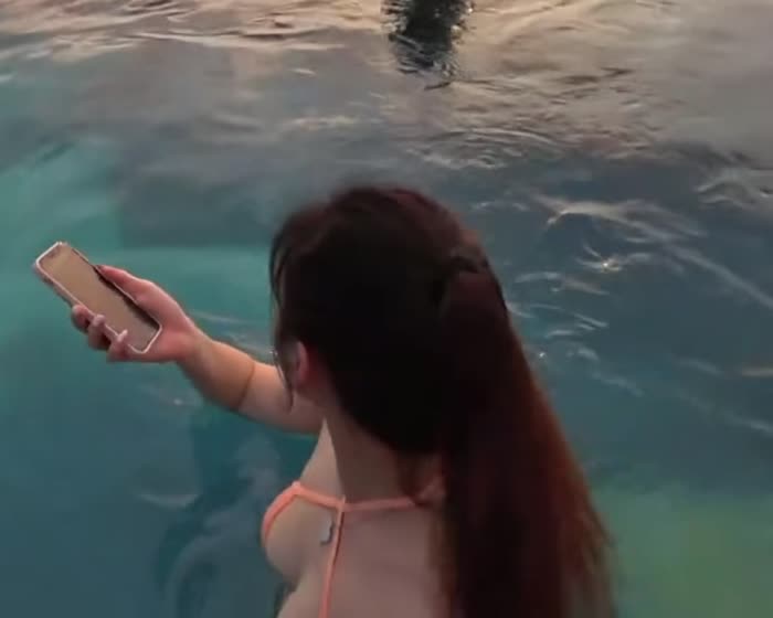 0a24cf8c629b37ecfc7dc033be977103e67b2b31f9d0302b5e5c4653f059515d thumbnail