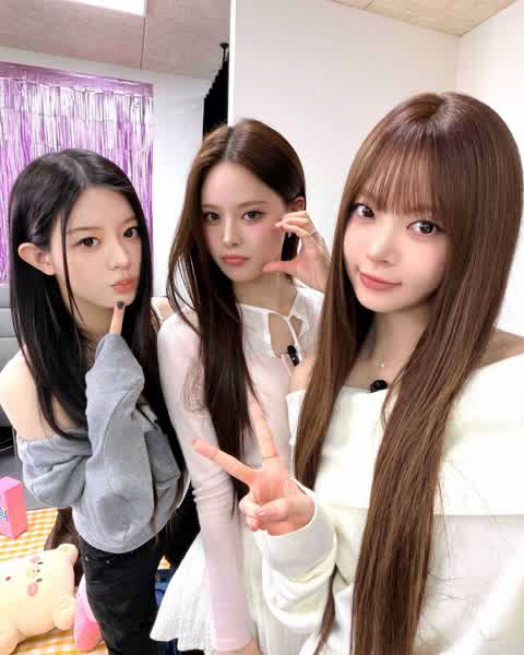 fe2f5afc9bc5f474125e4f535274cb3ebeada9357f8d18e358e435e69a8383d1 thumbnail