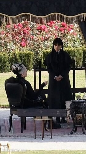 291109776417473584981684933486737960161 thumbnail