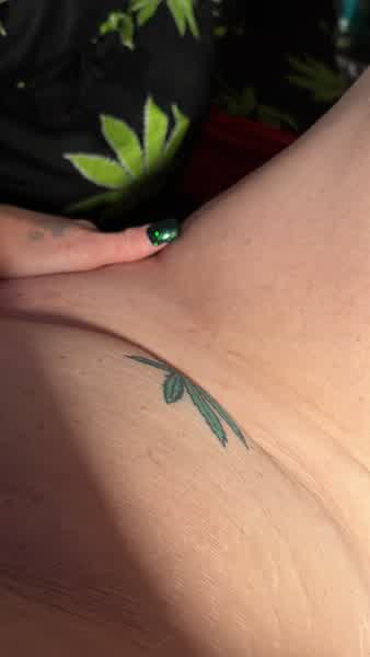 1ce977970ff76992076ffad0edc985000c779c5d0febc1132aec6fc052b57c38 thumbnail