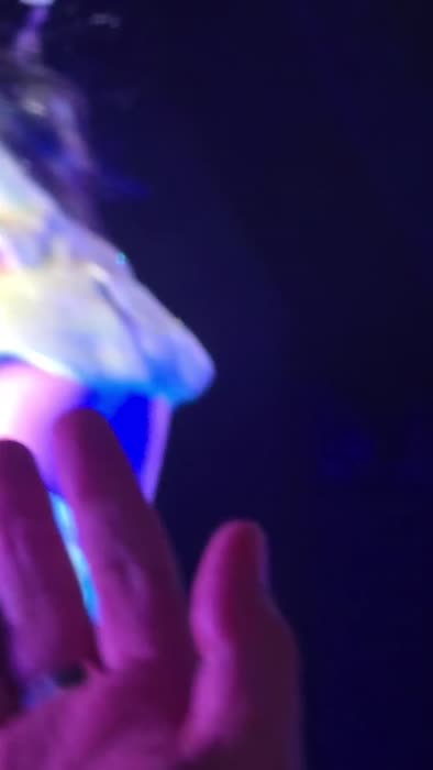 3e300371943bb87677f9ab8bf6baa2baf6fc4e950510e85a1544367b42a6b75c thumbnail