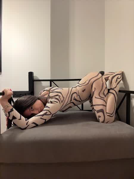 40b88170656577b2dea27f46c9c509bd42ccb4abfbb53d51274a2c8a2804d9e1 thumbnail