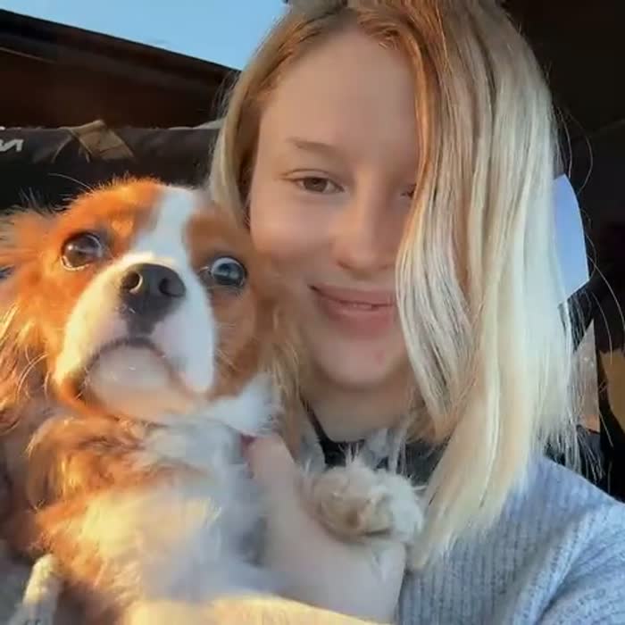 f31dfcea9d9c021c6d54bbe3373fb06d15cb141a40142ff09e9a5e35d6224885 thumbnail