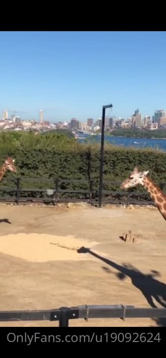 c009156d640d9d702e330e94db9a590ba99d8030d485687058a64c8d1a830821 thumbnail