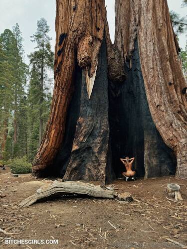 1515274757067081995935562437907807057 thumbnail