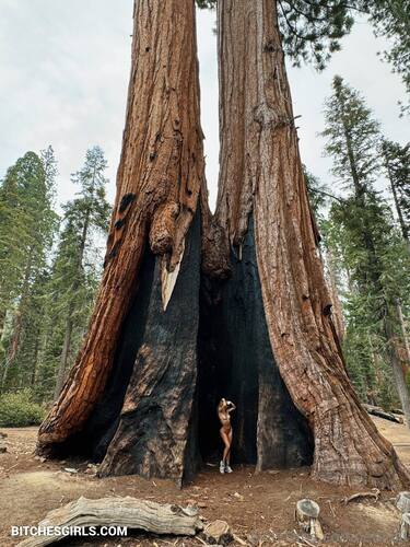 263676413368554438950417667022627016165 thumbnail