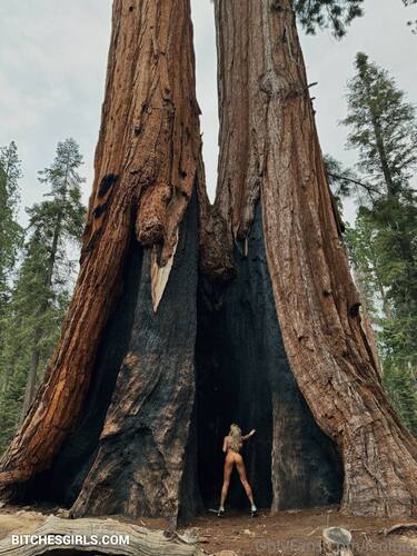 292922343906506675869924775117468832749 thumbnail