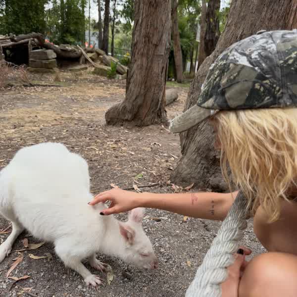 97e5aa2cb5d6f21e100e25922eee12963b3f571c40ff28e73b6012ede5cff913 thumbnail