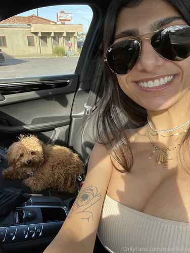 c92d1010149723782eadd6a6b852ef7d8f246396e9d0a3fe16c16dcebfdc28d0 thumbnail