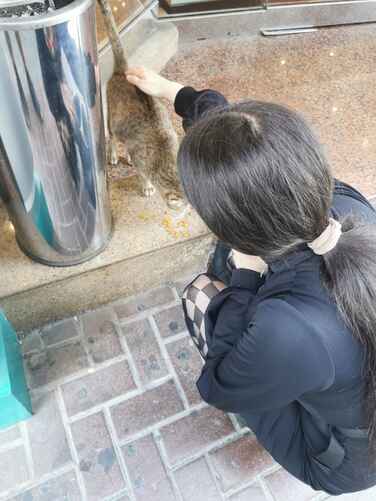 7d4ee0e97b64f18e2dc00aaef1a477bb6a40698660c77a67737ae9787ed284ad thumbnail