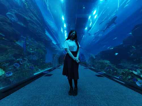 95eb1cdbe52163dc45a0f775fd43931544b7d7590bc8dea711faa79f57088d96 thumbnail