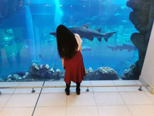 d80c85926b6fe3542149e8b95c2cc8215c4566112ce856f4fb2fc407eef5fcb6 thumbnail