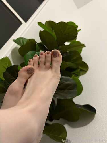 ac7b4404fc379f2f7b810fdefc8cca1c553a8ad6499d7aa45c117398a10b1f3e thumbnail