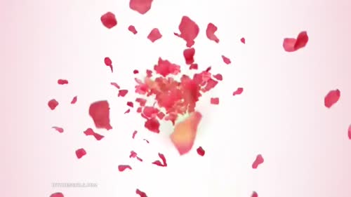 2bdf497f9d51eb59ffb90c7ccd86d5f62104a4c719c263bcf0155435c8800a27 thumbnail